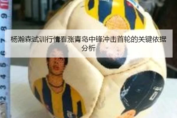 杨瀚森试训行情看涨青岛中锋冲击首轮的关键依据分析